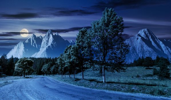 trees along the road in to the mountains at night in full moon. composite mountainous landscape with rocky peaks. beautiful summer nature with gorgeous sky. travel and explore unknown places concept