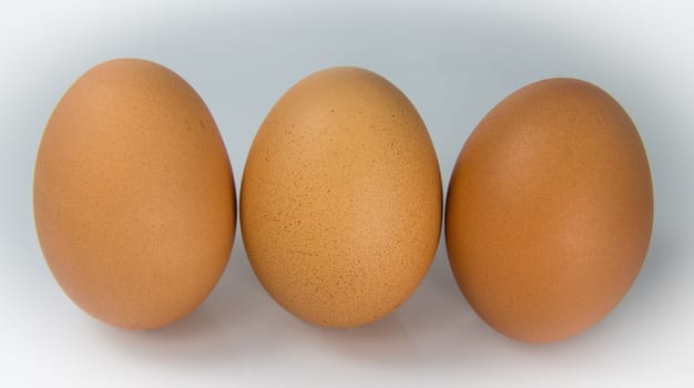 Three of The Chicken Egg