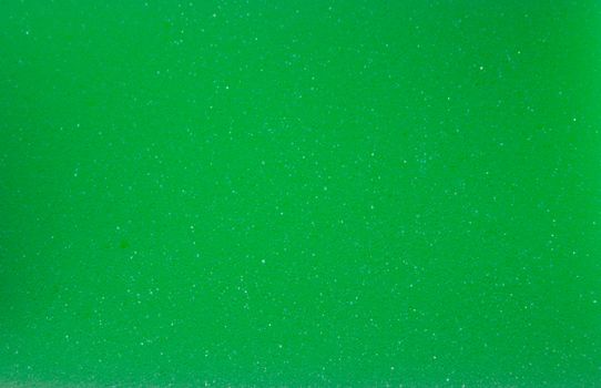 Green sponge background texture