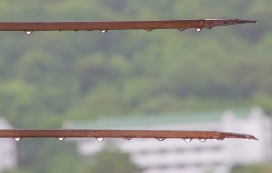 The steel spokes with the rain drop after raining