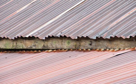 Old rusty galvanized roof during raining