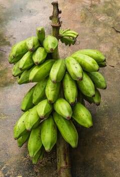 Bunch of fresh green bananas