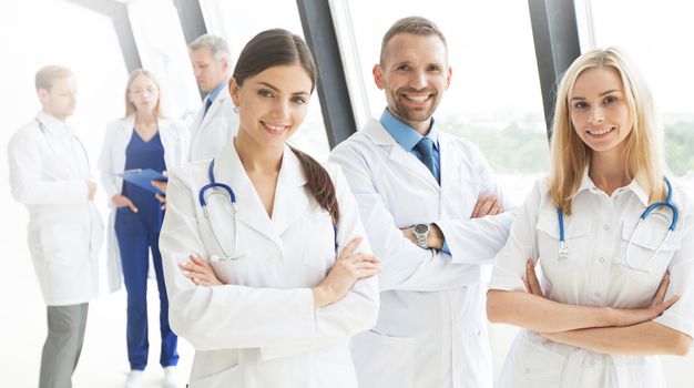 Medical team group portrait in hospital