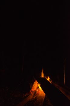 the bonfire is burning firewood in forest and have heat for body