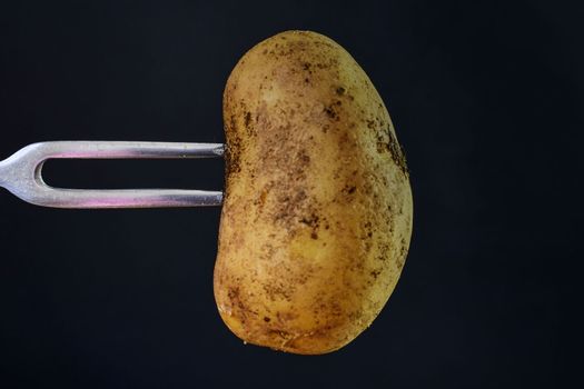 Potato on black background. Potato and fork. Close-up. Cuisine concept