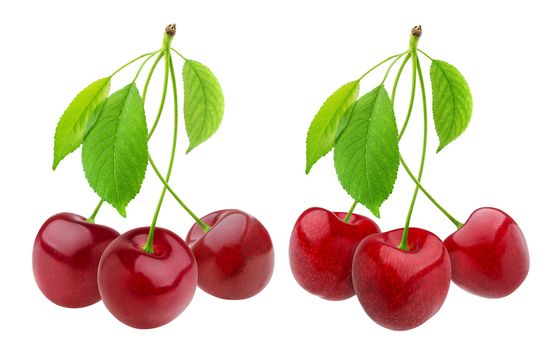 Cherries collection. Cherry isolated on white background