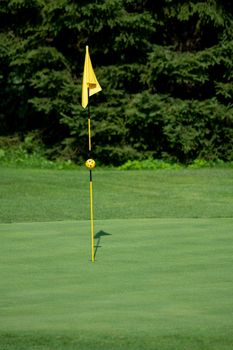 Golf Course, golf green with flag in the hole, yellow flag