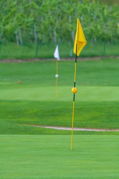 Golf Course, golf green with flag in the hole, yellow flag