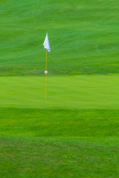 Golf Course, golf green with flag in the hole, white flag