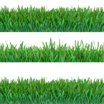 Green grass banners set. Nature background. Meadow. Spring, summer season. Plant growth 3d rendering