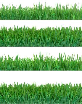 Green grass set. Nature background. Meadow. Spring, summer season. Plant growth 3d rendering