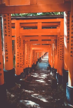 Fushimi Inari Taisha torii shrine, Kyoto, Japan