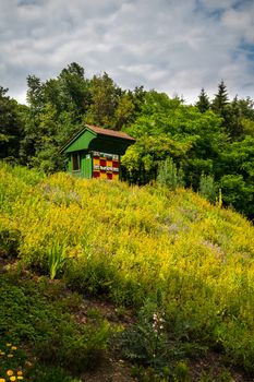 Traditional colorful wooden beehive in herbal garden. The hives are brightly painted to allow the bees find their hives.