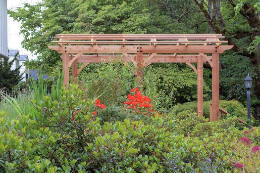 Wood Arbor in home garden backyard lush landscaping