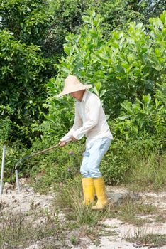 Asian farmer clearing land.