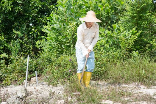 Asian farmer cleaning land.