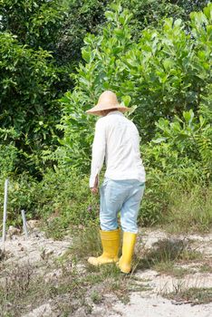 Asian farmer clearing land under hot sun.