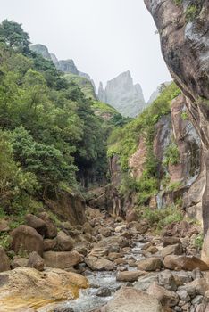 The Devils Tooth Gully with the Devils Tooth and Toothpick in the back as seen from the conjunction with the Tugela River