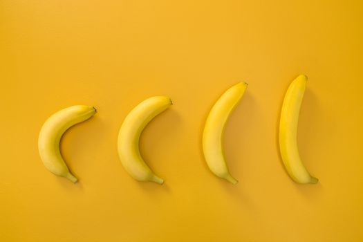 Bananas illustrating evolution theory, on vivid yellow background.