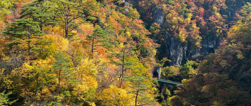 Naruko Gorge valley with rail tunnel in Miyagi Tohoku Japan