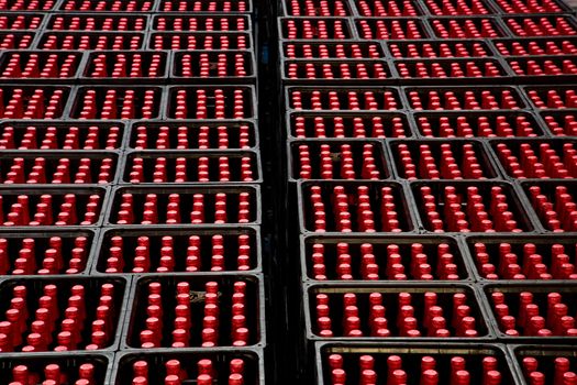 A group of red bottles in beer crates