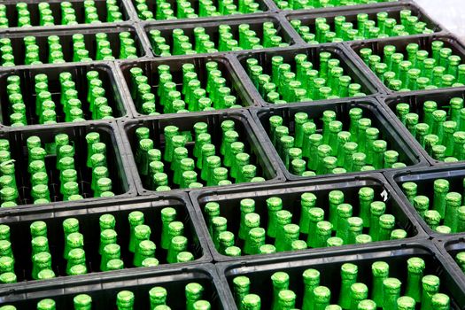 A group of green bottles in beer crates