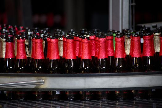 A group of empty beer bottles in a brewery