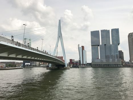 The Rotterdam Skyline with the Erasmusbrug bridge, Netherlands.