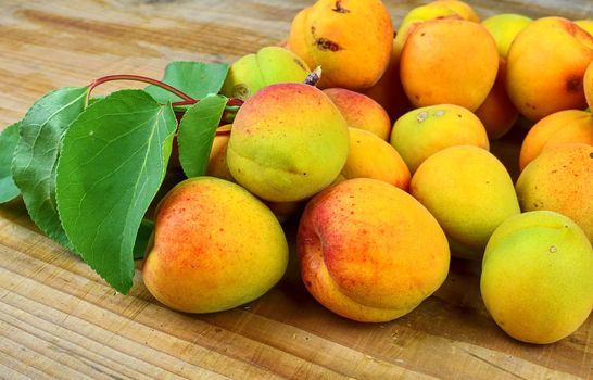 Apricots on wooden background. Apricots from rural garden. Close-up.