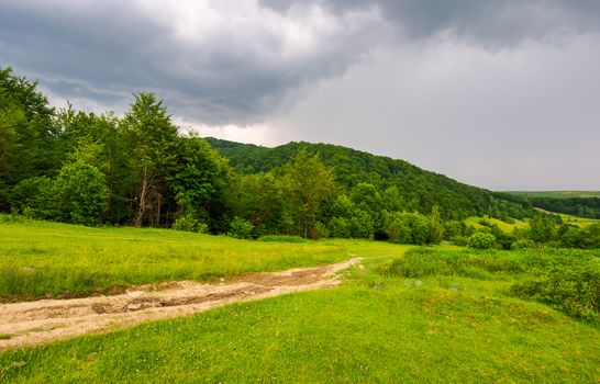 country road down the hill through the forest. lovely countryside scenery in mountainous area before the summer storm