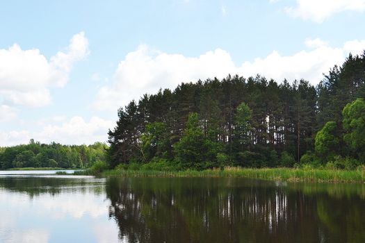 The river bank in the second half of the summer day.