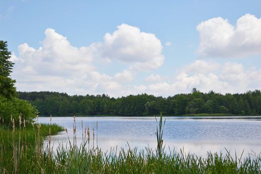 The river bank in the second half of the summer day.