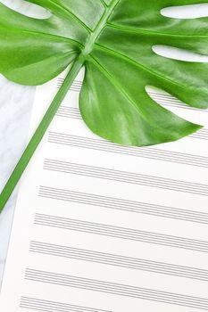 Empty sheet music paper and tropical palm tree leaf, Monstera. Sounds of nature or tropical music concept.