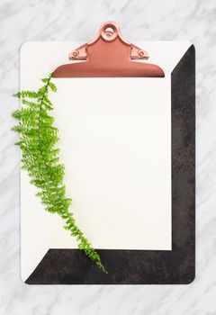 Stylish clipboard with blank sheet of paper, decorated with green fern plant, on marble background.
