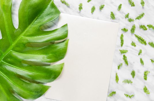 Blank sheet of paper with copy space and green leaves on marble background. Flat lay composition.