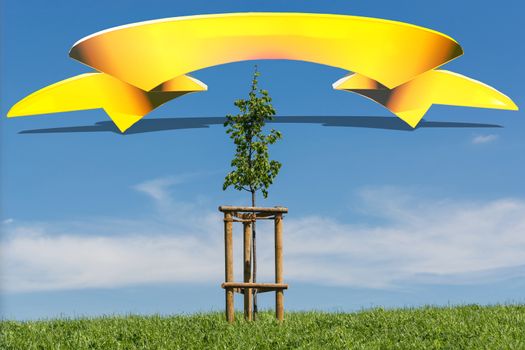 Tree on hilly meadow in front of blue sky and yellow banner with gradient background.
