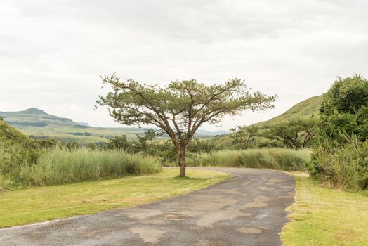 The road to the start of Tugela Gorge hiking trail in the Kwazulu-Natal Drakensberg