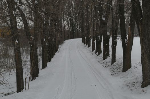 Countryside road amongst trees covered with a lot of snow during winter