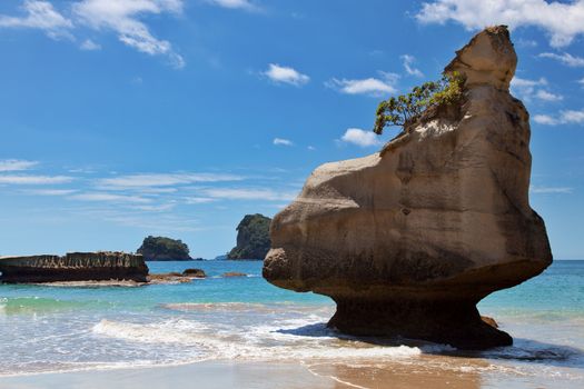 Cathedral Cove Coromandel Peninsula