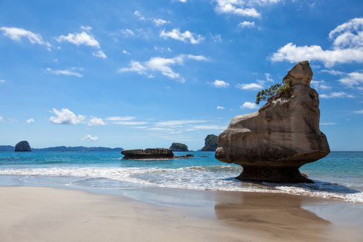 Cathedral Cove Coromandel Peninsula