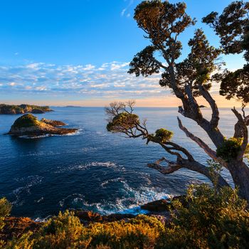 Sunrise at Te Pare Point