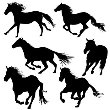 Silhouette of horses galloping on white background