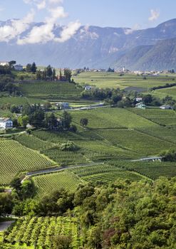 Fields in South Tyrol, Italy, view from above