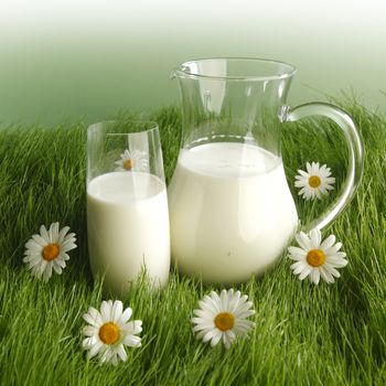 Milk in jar and glass on fresh grass meadow with chamomiles