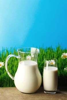 Milk jug and glass on fresh green grass with chamomiles