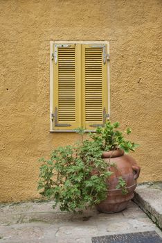 yellow painted wall with window with shutters and vase with plant in front on the street on sardinia island italy 