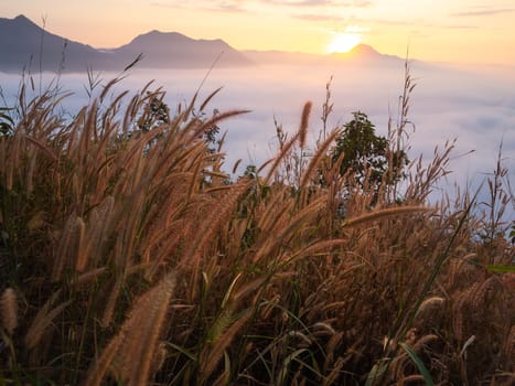 Beautiful landscape of sea of fog on Phu Thok Mountain at Chiang Khan ,Loei Province in Thailand. Sunrise in the morning.