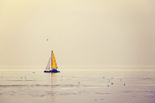 sailing ship in the open sea. a photo