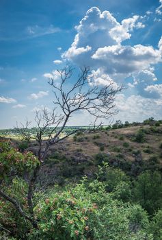 Granite Arbuzinka Rocks in the canyon near the Aktovo village, on the Mertvovod river in Ukraine. One of natural wonders of Europe.