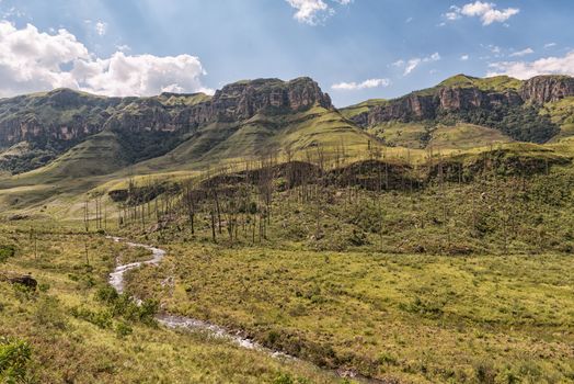 The view from the camp site at Injisuthi in the Kwazulu-Natal Drakensberg. Van Heiningen Pass is in the break in the mountain